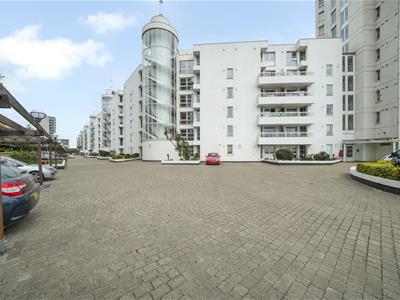 Picture 20